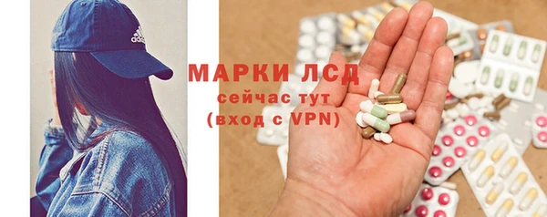 хмурый Каменногорск