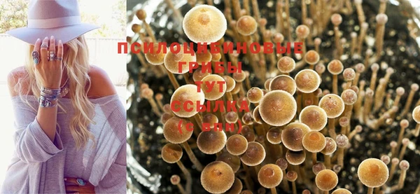 меф VHQ Каменка