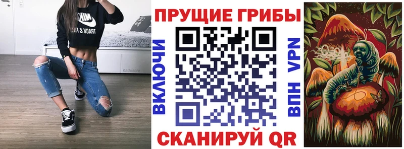 Галлюциногенные грибы Magic Shrooms  Купить закладки  Дорогобуж 